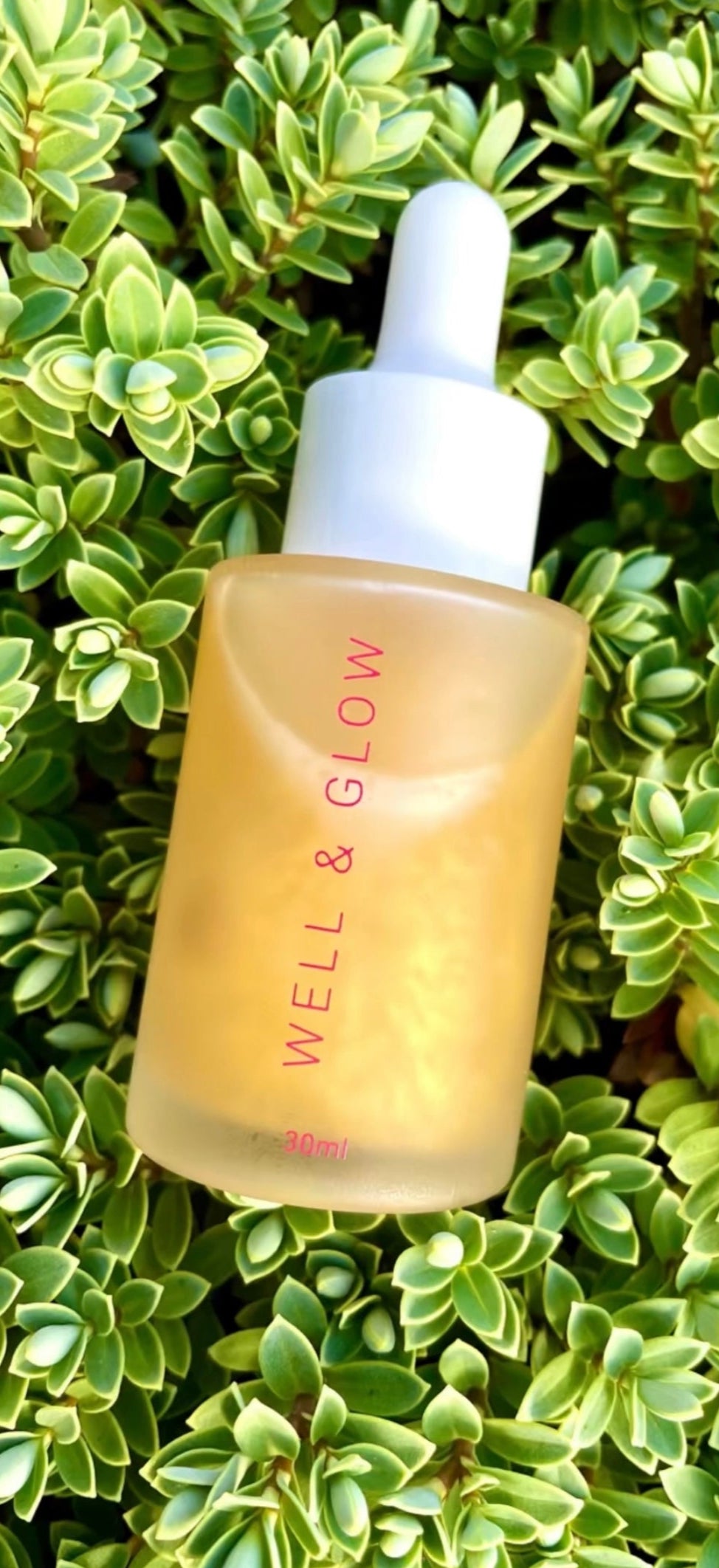 Switch2Pure Well & Glow Rejuvenating Facial Oil